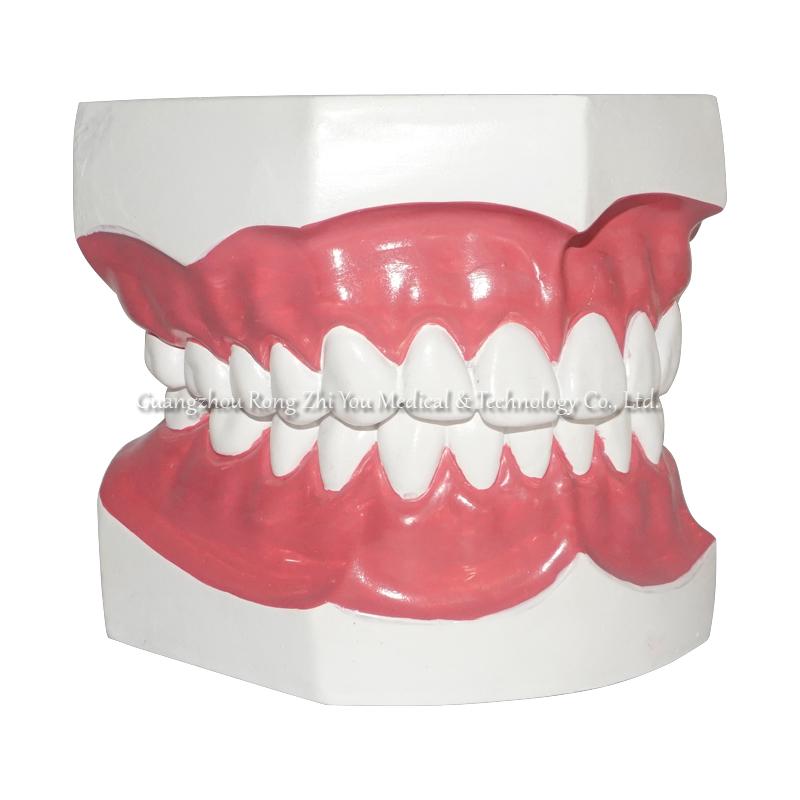 Dental Care Teeth