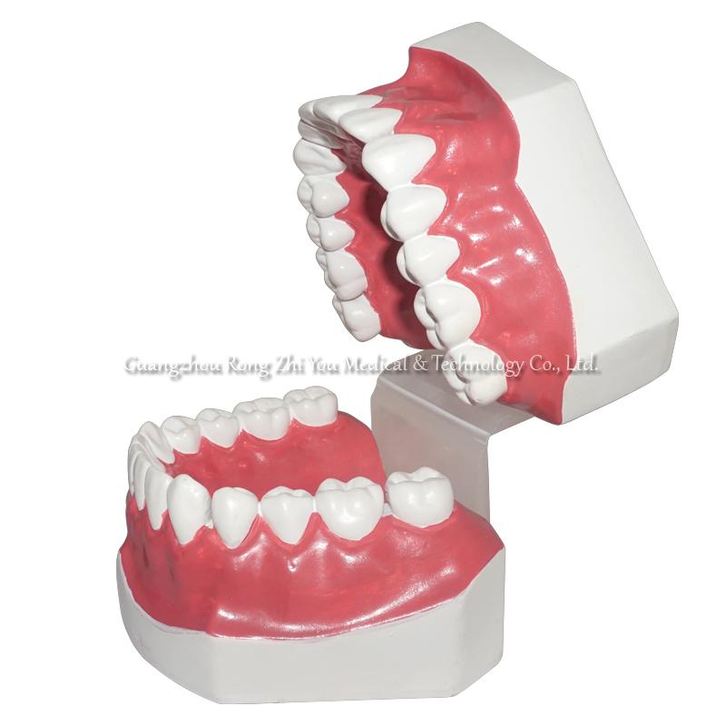 Dental Care Teeth
