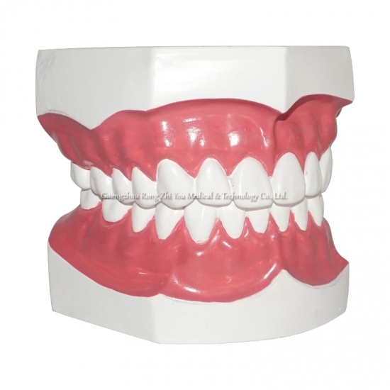 dientes de cuidado dental