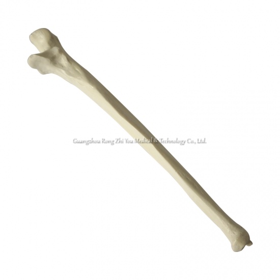 modelo de cuna artificial médica