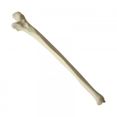 modelo de cuna artificial médica