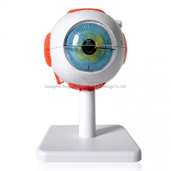 3 veces el modelo de ojos