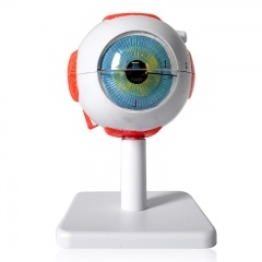 3 veces el modelo de ojos