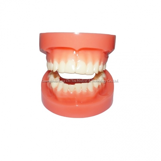 dientes humanos