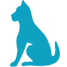 Modelo veterinario